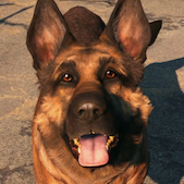 dogmeat